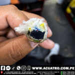 ROLLO DE SOGA DRIZA NYLON EN COLOR BLANCO POR 100 METROS DE 1" PULG PESO APROXIMADO 30 KG - Imagen 2